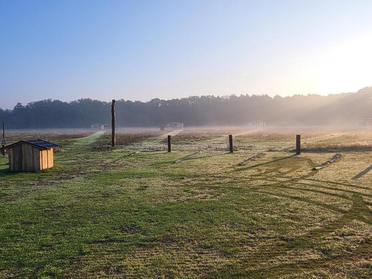 Hoeve Twente - De Buizerd Villa Heythuysen Esterno foto