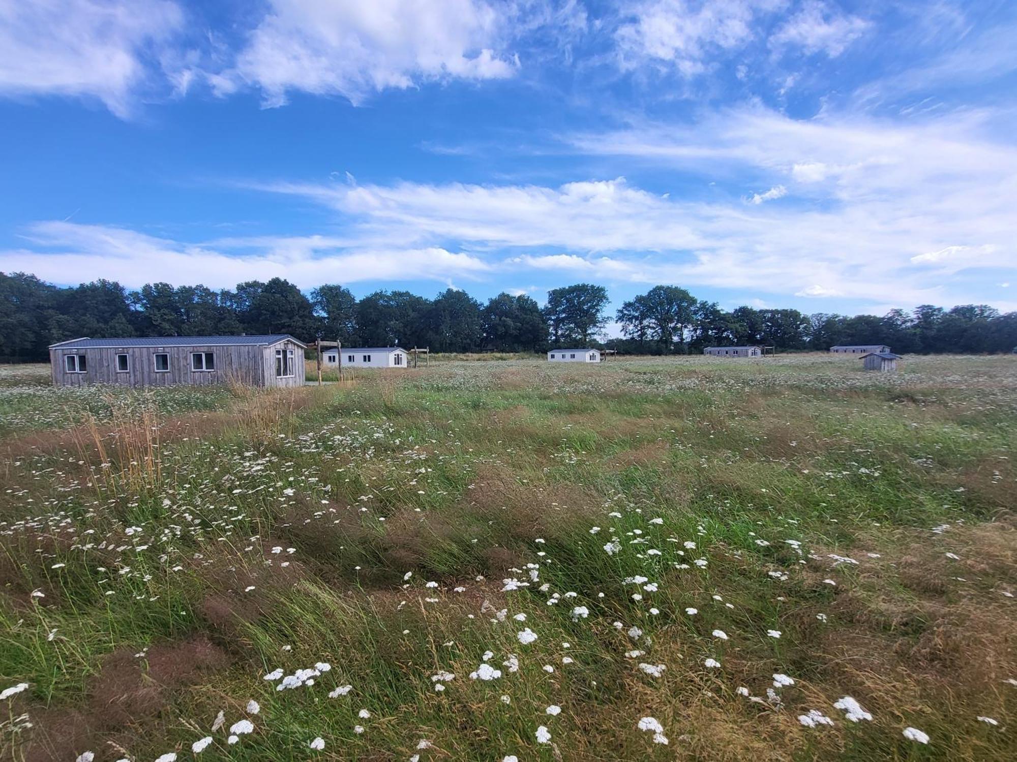 Hoeve Twente - De Buizerd Villa Heythuysen Esterno foto