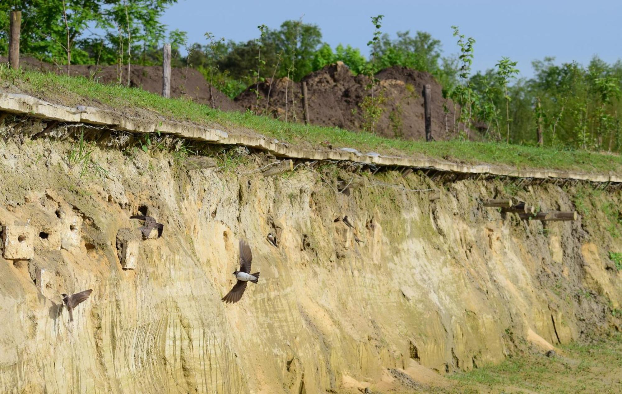 Hoeve Twente - De Buizerd Villa Heythuysen Esterno foto